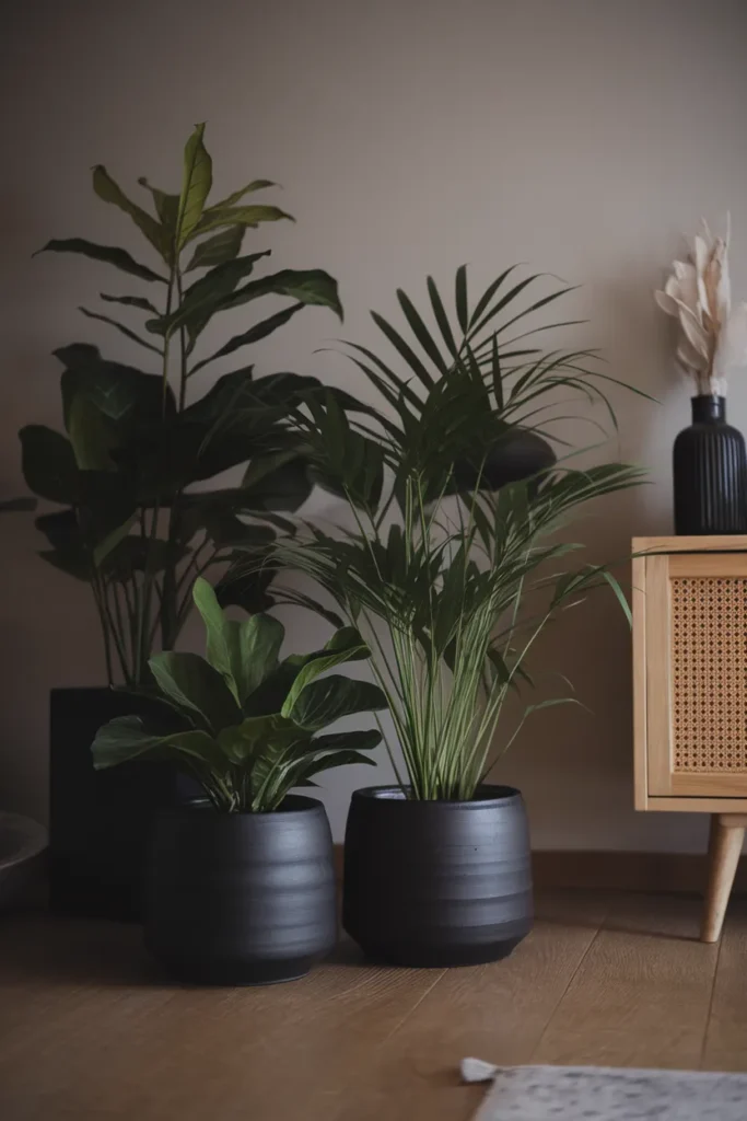 Matte Black Pots