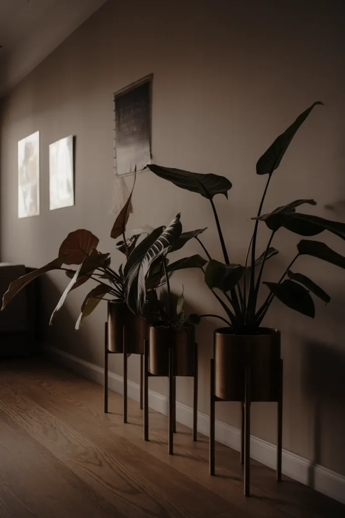 Minimal Plant Podiums