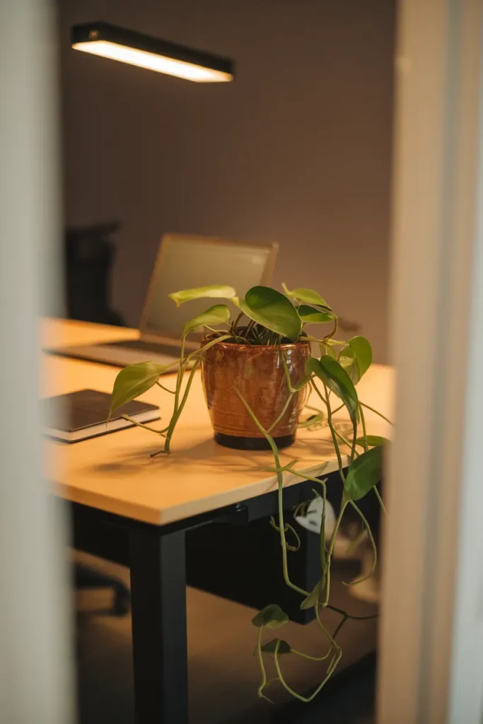 Philodendron Table