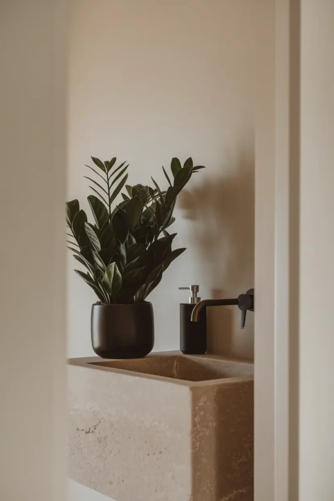 ZZ Plant Calm