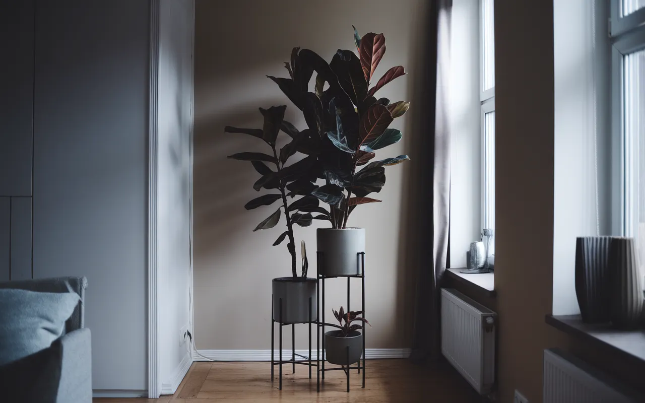 dark leaf plants for dark apartments