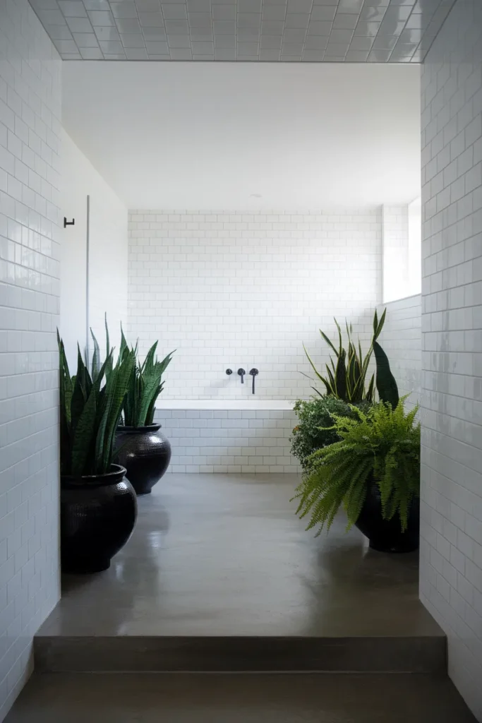 Black Pot Contrast